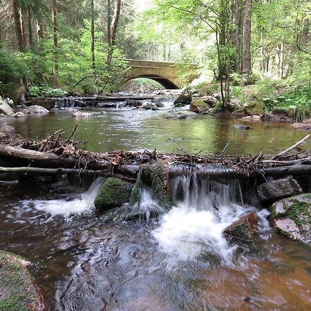 Fewo Kruse Am Wurmberg Braunlage Buitenkant foto